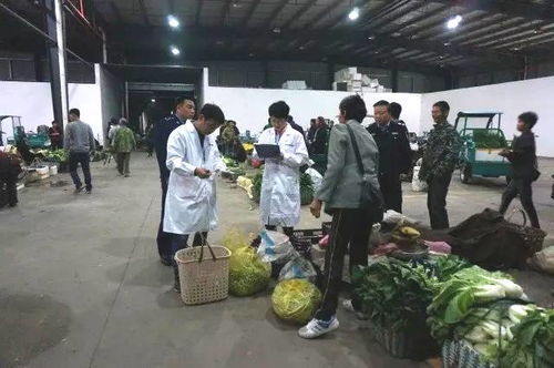 丽水蓝城检测助力松阳县筑牢农产品源头安全防线