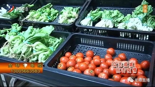 为农户排忧解难 茂名市农业农村局紧急启动农产品一对一对接机制，力保初级农产品收购畅通无阻