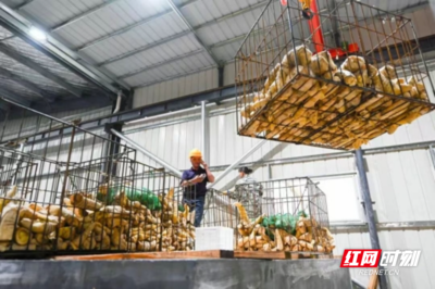北湖:供销社赋能 让农货&ldquo;出村进城&rdquo;