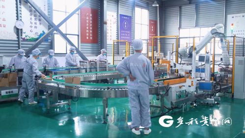 安顺155名产业村长点燃乡村振兴新引擎，农副产品畅销富乡惠民利企