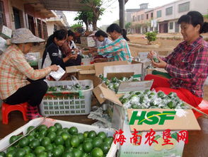 东昌农产品收购市场聚财气，助力农副产品销售兴旺